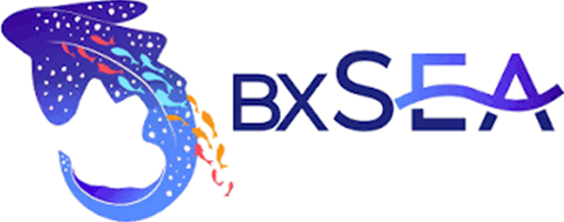 Logo BxSEA