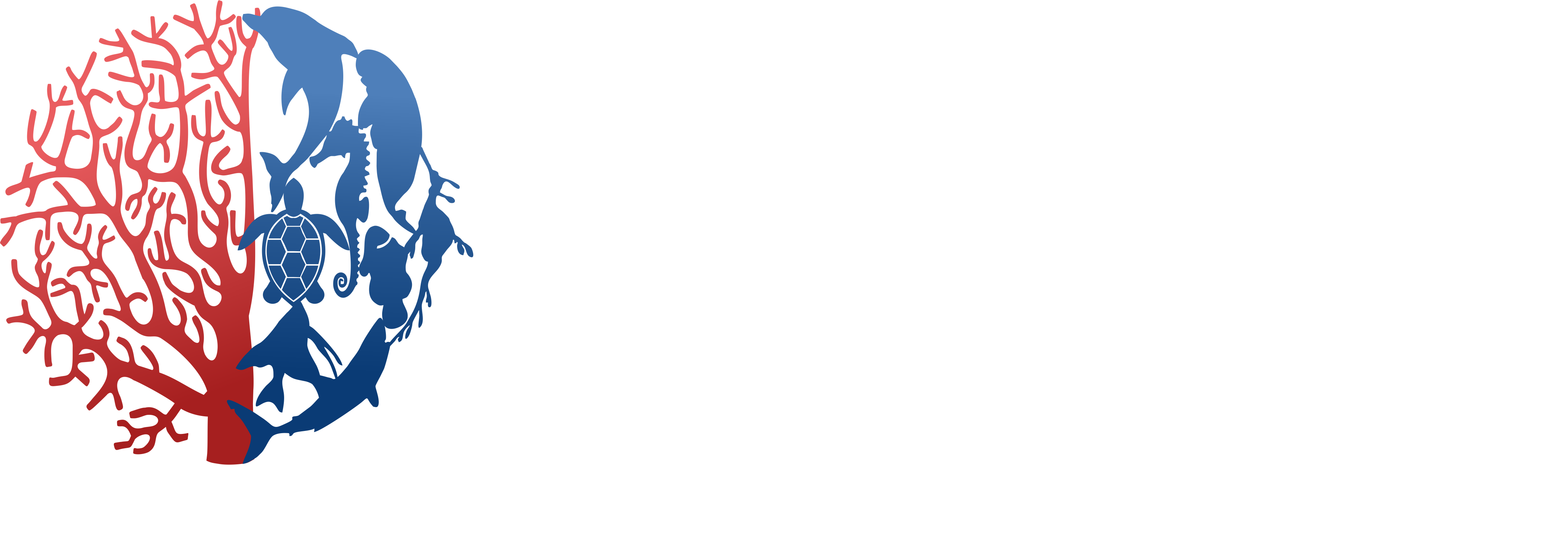 Aquarium Design Consultant